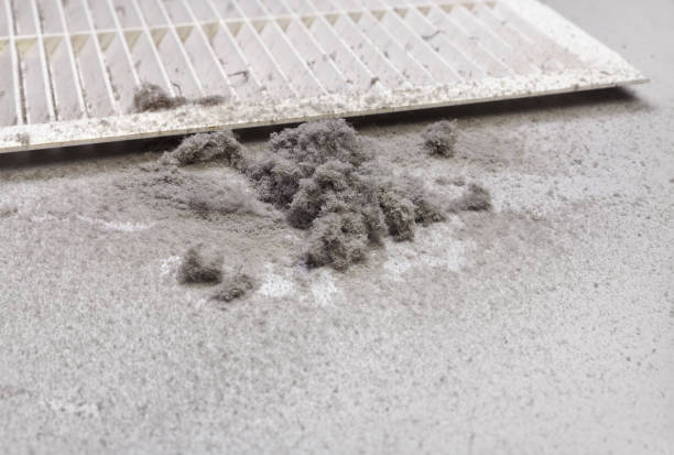 Best HVAC Maintenance and Cleaning  in Felida, WA