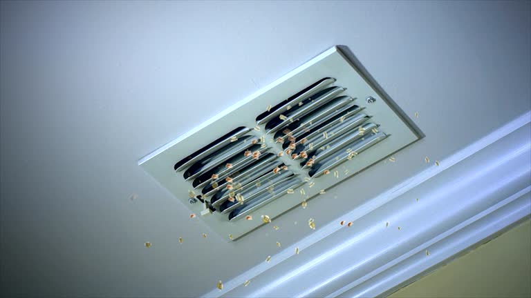 Best Residential Air Duct Cleaning  in Felida, WA