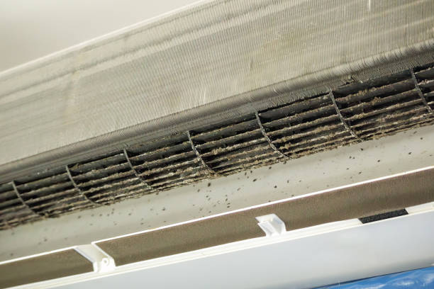 Best Ventilation Cleaning Services  in Felida, WA