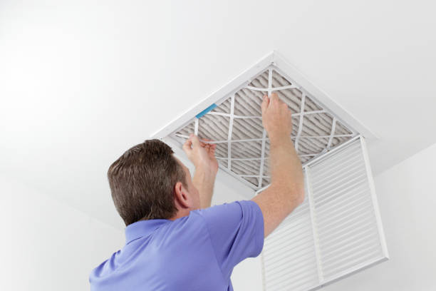 Best Home Air Vent Cleaning  in Felida, WA
